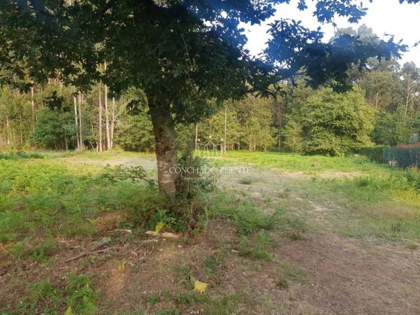 Terreno en Sada photo 3