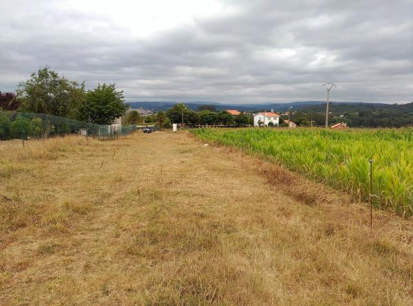 Terreno en aldea samoedo s/n photo 2