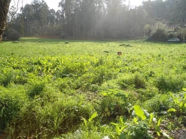 Terreno en calle Seara photo 3