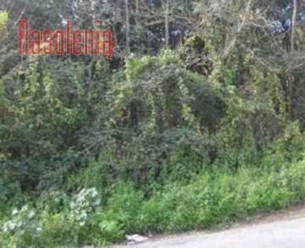 Terreno en venta en Culleredo, A Coruña photo 4