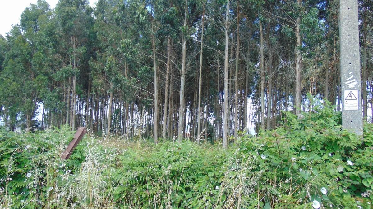 Terreno en venta en Bergondo, A Coruña photo 2