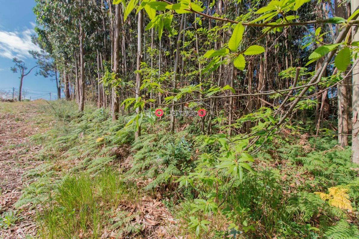 Terreno en venta en Oleiros, A Coruña photo 3
