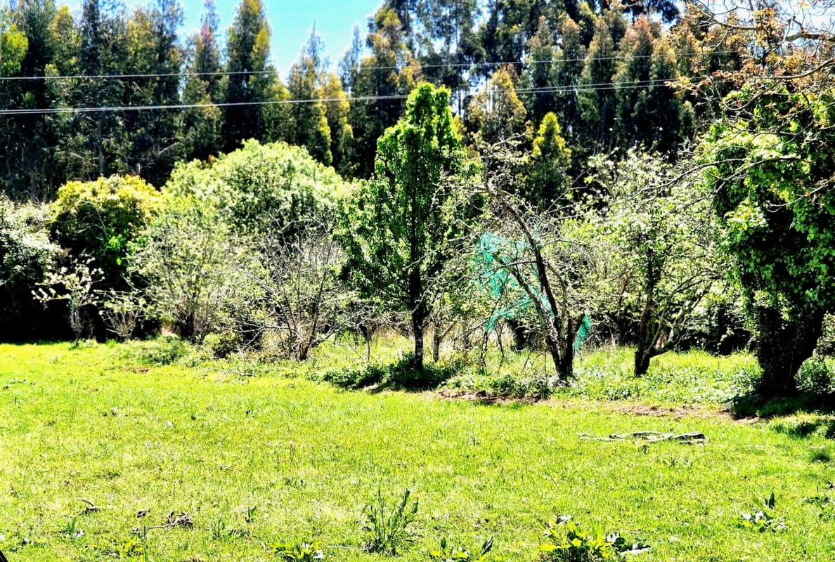 Terreno en venta en Sada, A Coruña photo 2