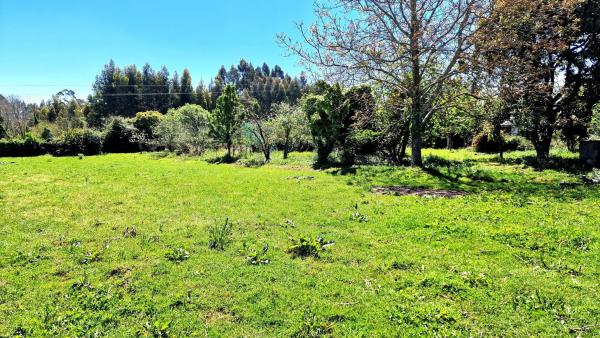 Terreno en De Carnoedo photo 3