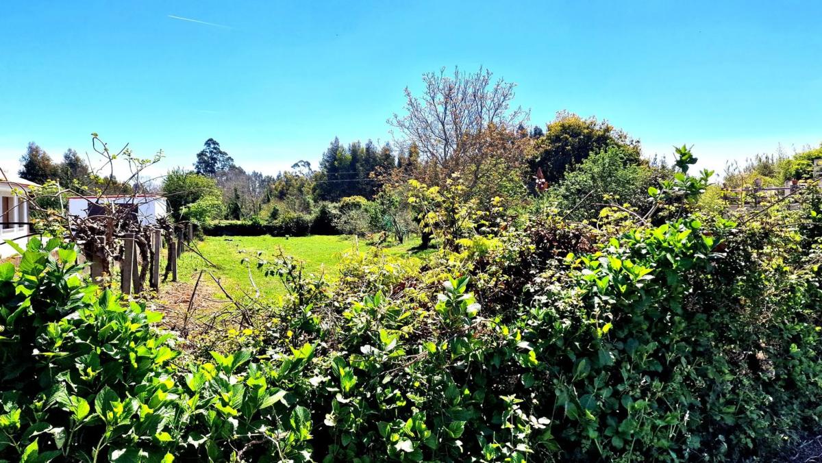 Terreno en venta en Sada, A Coruña photo 5