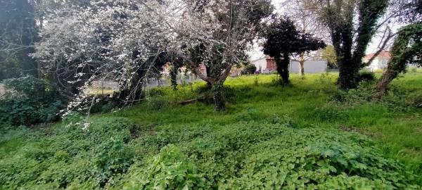 Terreno en Sada photo