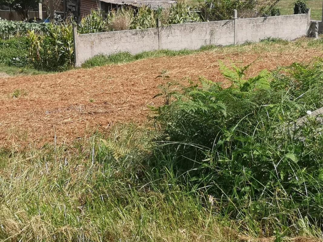 Terreno en venta en Culleredo, A Coruña photo 2