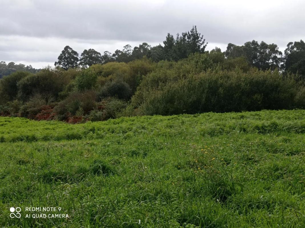 Land for sale in Oleiros, A Coruña photo 1