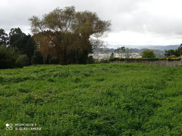 Terreno en Benito Feijoo, 1 thumbnail 1