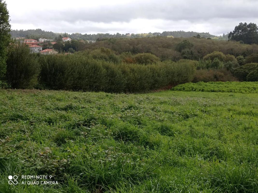 Land for sale in Oleiros, A Coruña photo 3