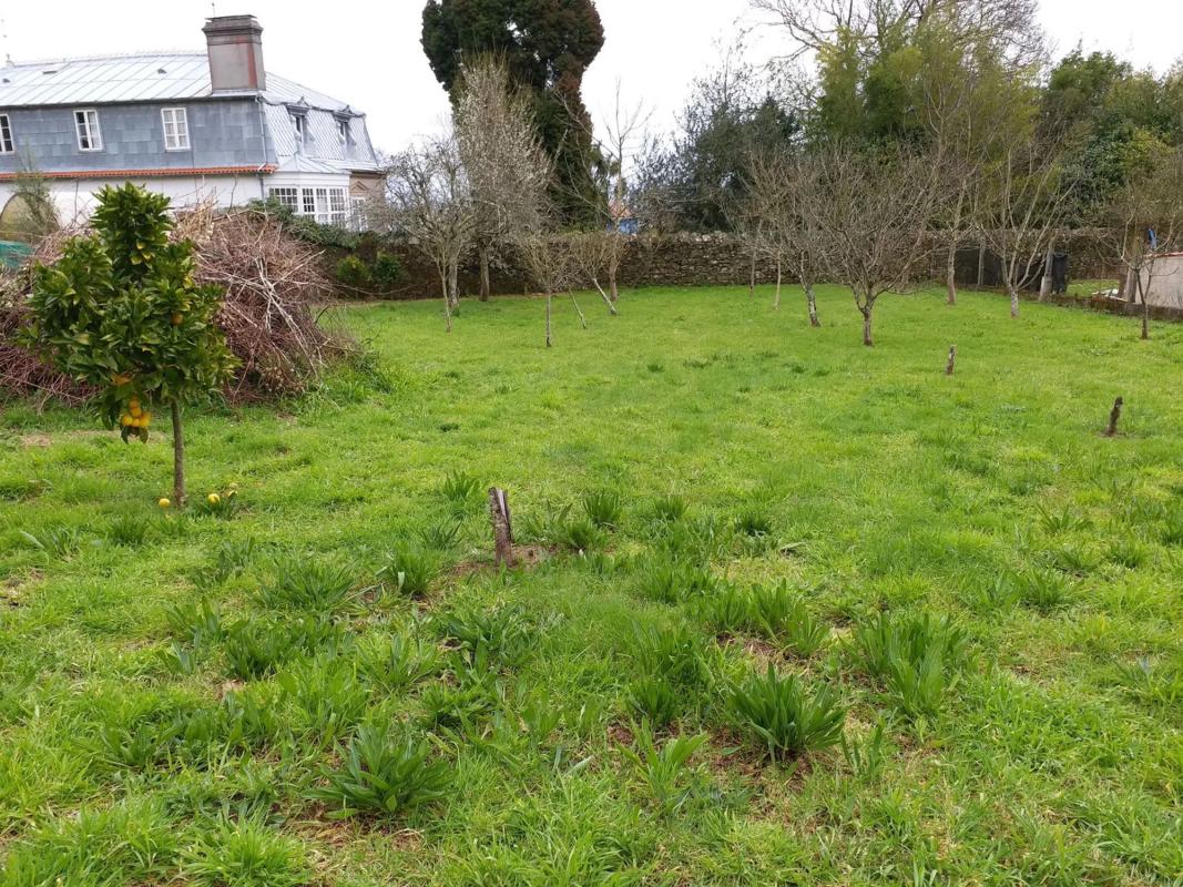 Terreno en venta en Culleredo, A Coruña photo 3