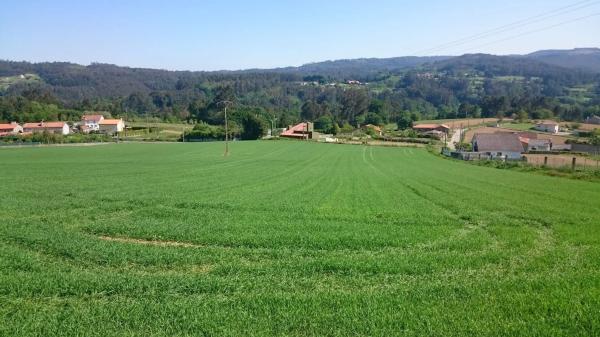 Terreno en Bacelo, 11 c photo 1