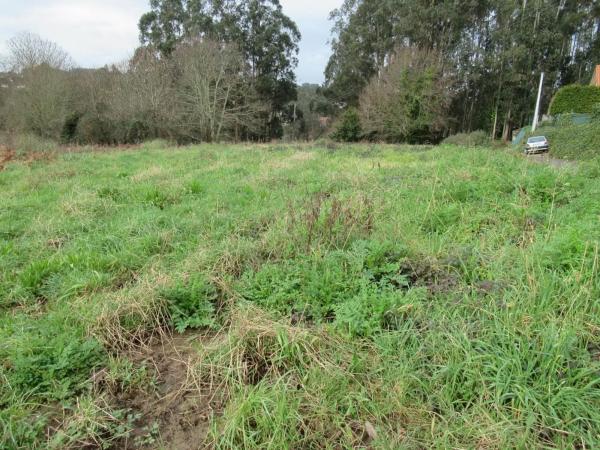 Terreno en Aldea o Castro photo 4