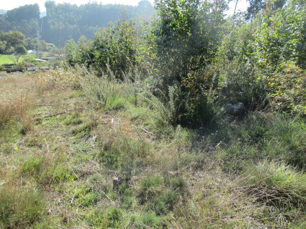 Land for sale in Culleredo, A Coruña photo 1