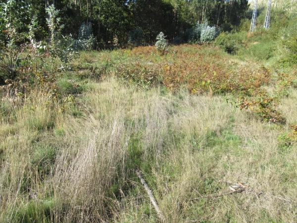 Terreno en Centro de Culleredo photo 3