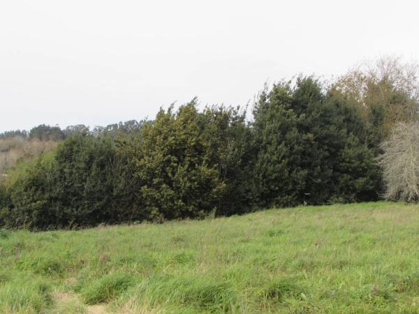 Terreno en Aldea Cortes, 20 photo 1