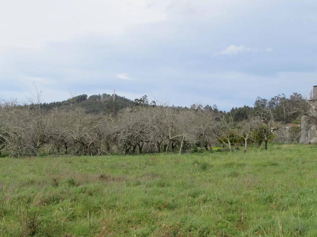 Terreno en venta en Bergondo, A Coruña photo 2