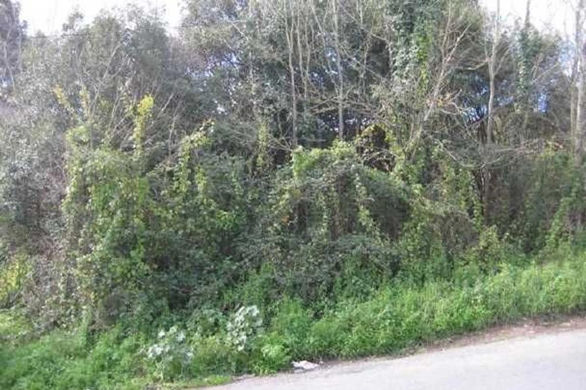 Terreno en venta en Culleredo, A Coruña photo 2