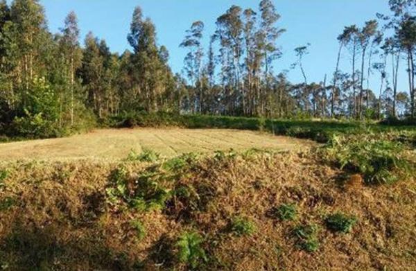Terreno en Lugar Campiña photo 3