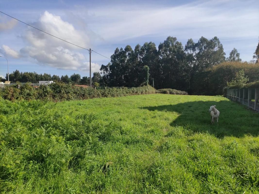Terreno en venta en Oleiros, A Coruña photo 5