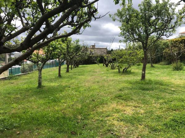 Terreno en Florencia photo 1