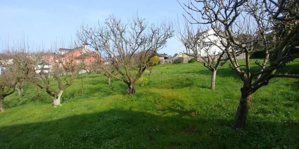 Terreno en Perillo photo 2