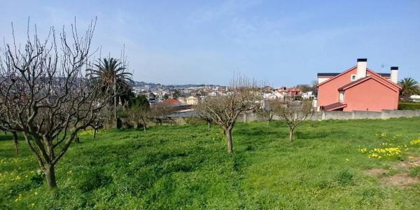 Terreno en Perillo photo 3