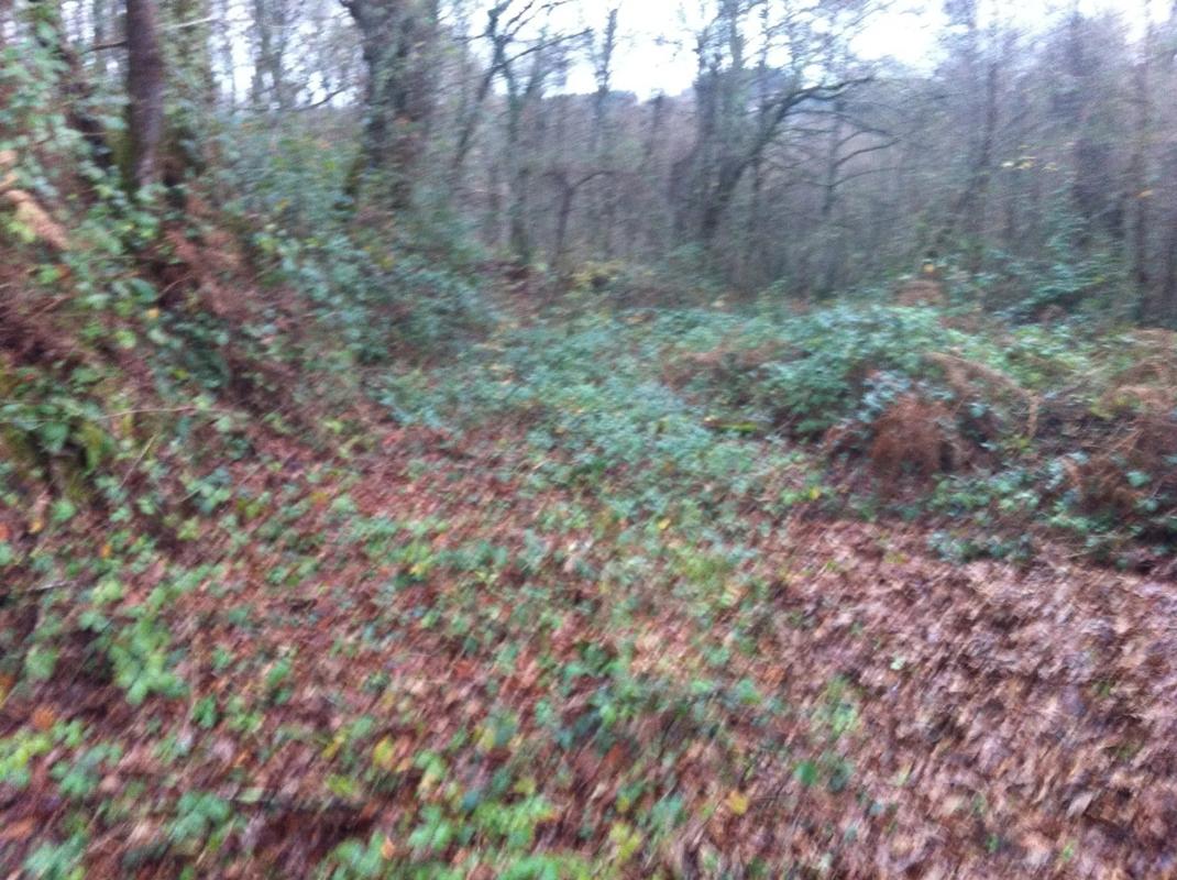 Terreno en venta en Cambre, A Coruña photo 3