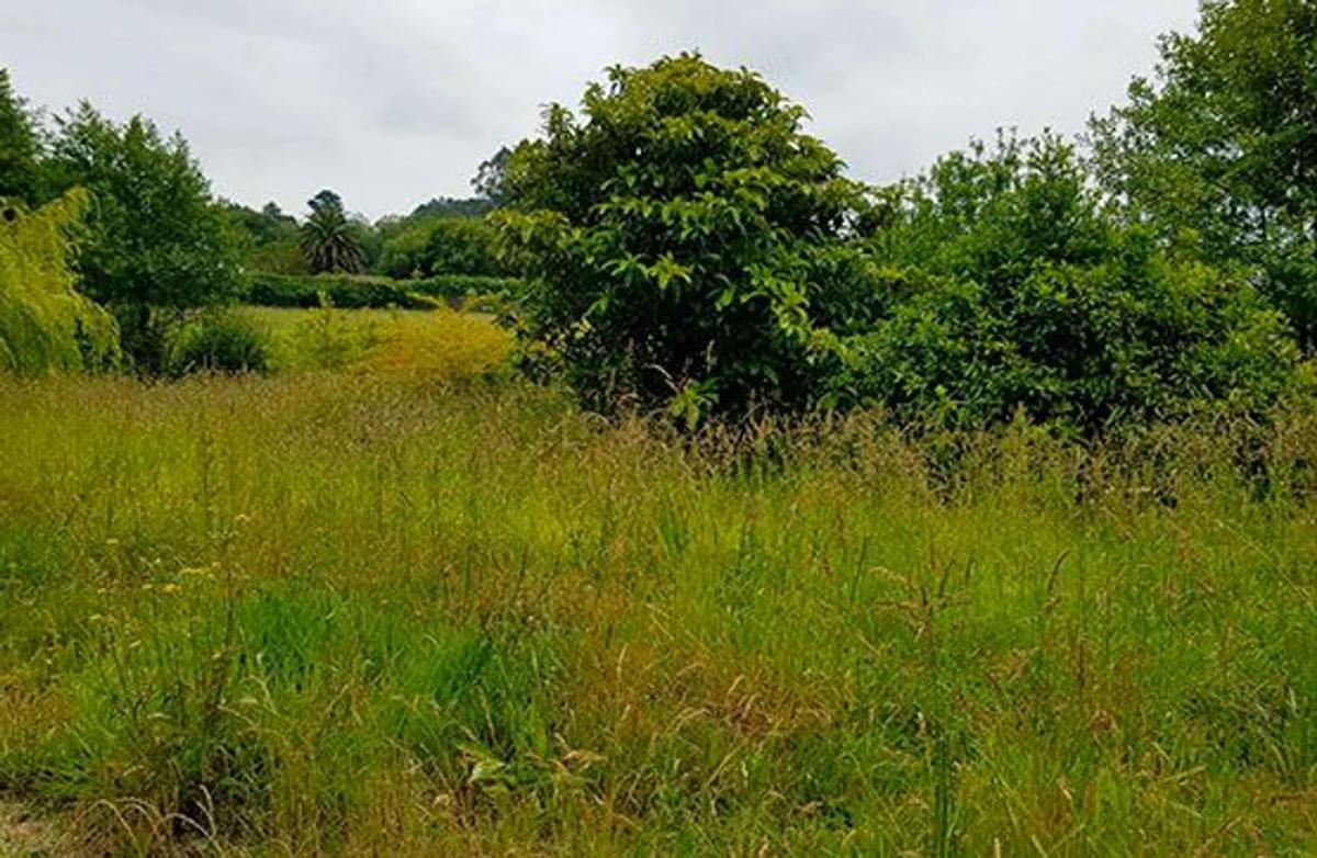 Terreno en venta en Oleiros, A Coruña photo 1