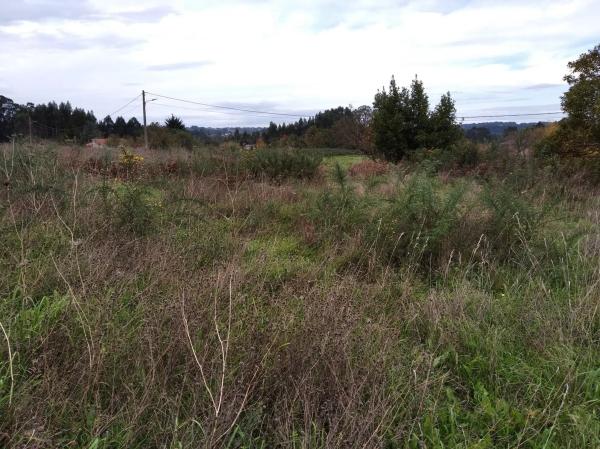 Terreno en Ouces s/n photo 1