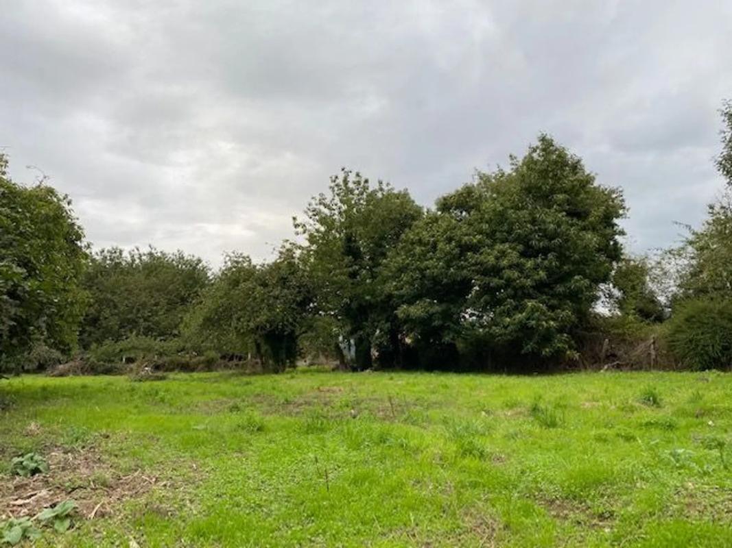 Land for sale in Bergondo, A Coruña photo 3