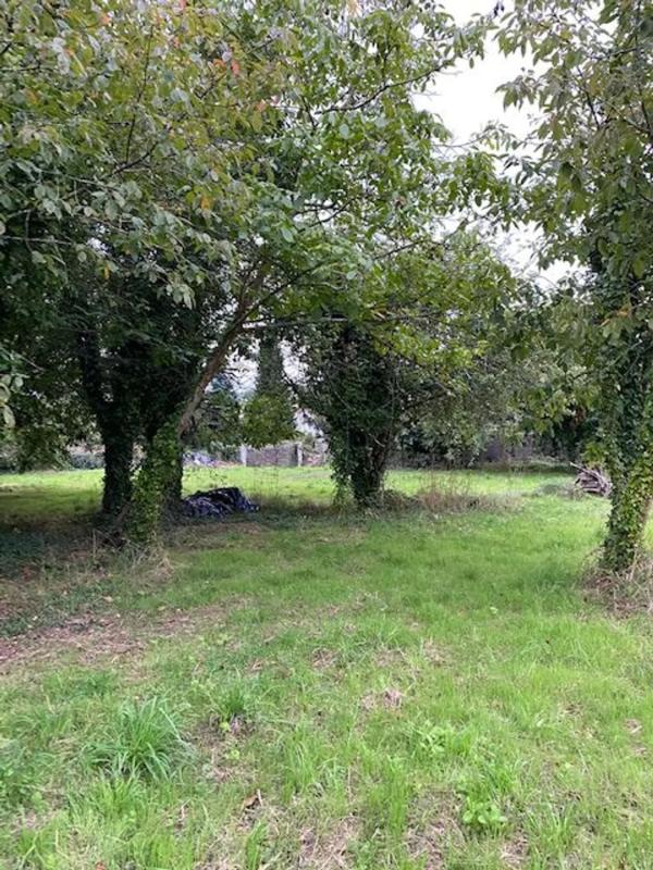 Land for sale in Bergondo, A Coruña photo 4