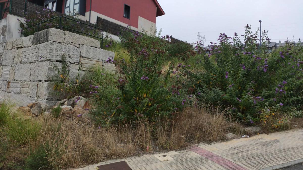 Terreno en venta en Culleredo, A Coruña photo 2