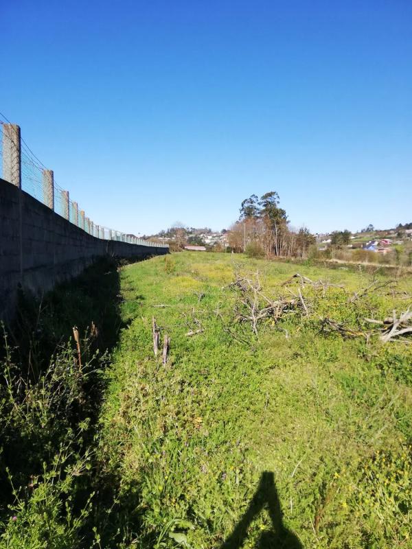 Terreno en venta en Culleredo, A Coruña photo 3