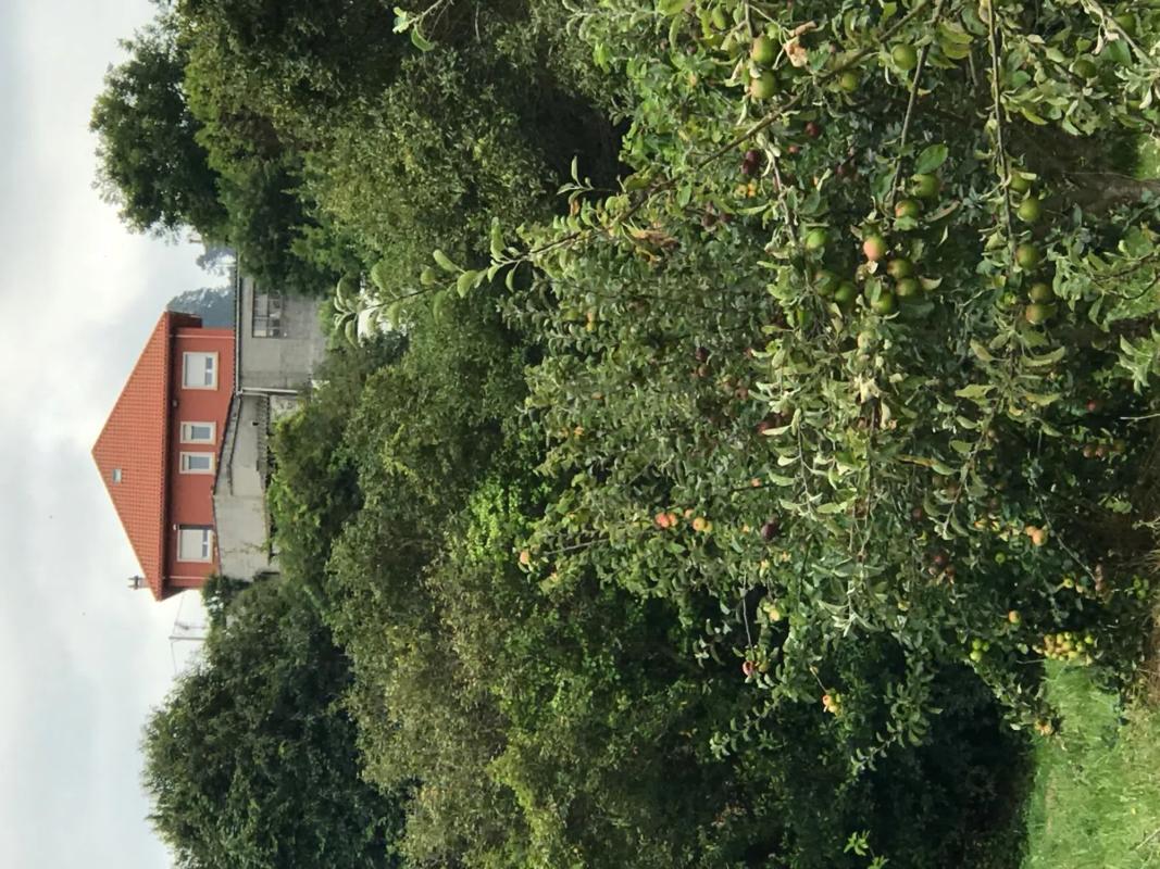 Działka na sprzedaż w Arteixo, A Coruña photo 4