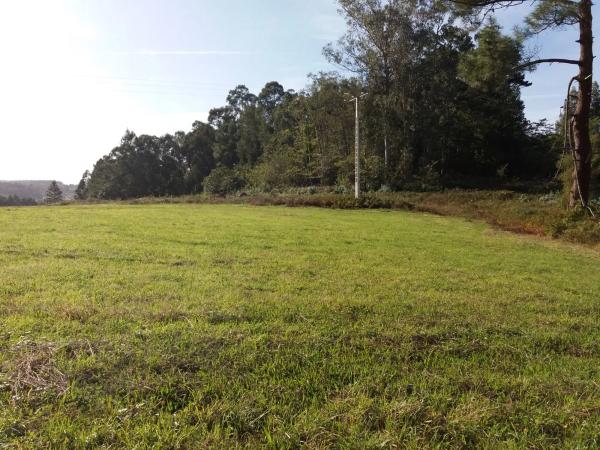 Terreno en La Campiña, 60 photo 3