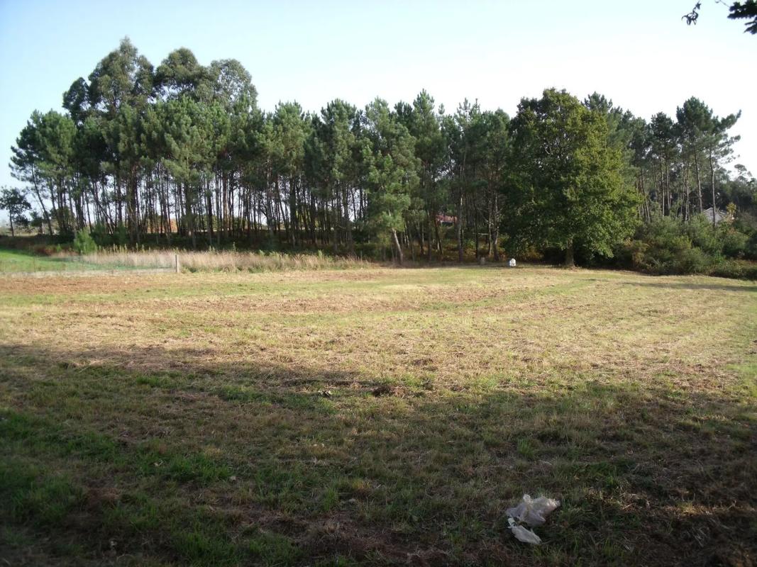Land for sale in Bergondo, A Coruña photo 1