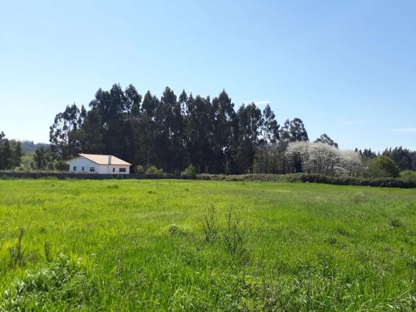 Terreno en avenida Francisca Herrera s/n thumbnail 1
