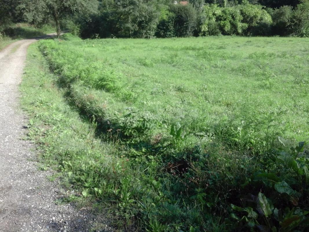 Участок земли на продажу в Камбре, Ла-Коруня photo 3