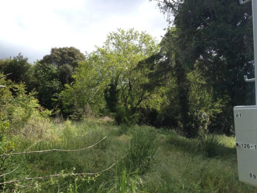 Terreno en venta en Oleiros, A Coruña photo 3