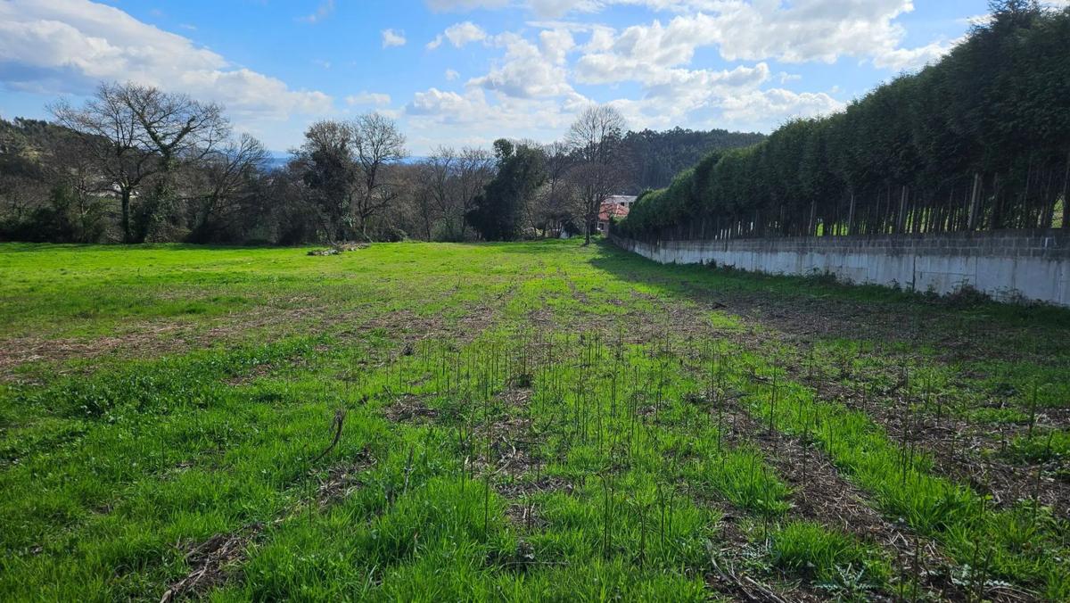 Terreno en venta en Culleredo, A Coruña photo 4