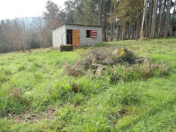 Terreno en Dp-3109 photo 1