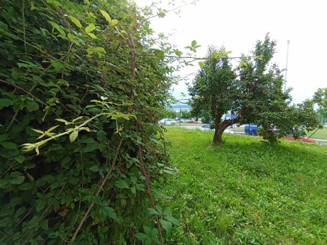 Terreno en venta en Narón, A Coruña photo 4