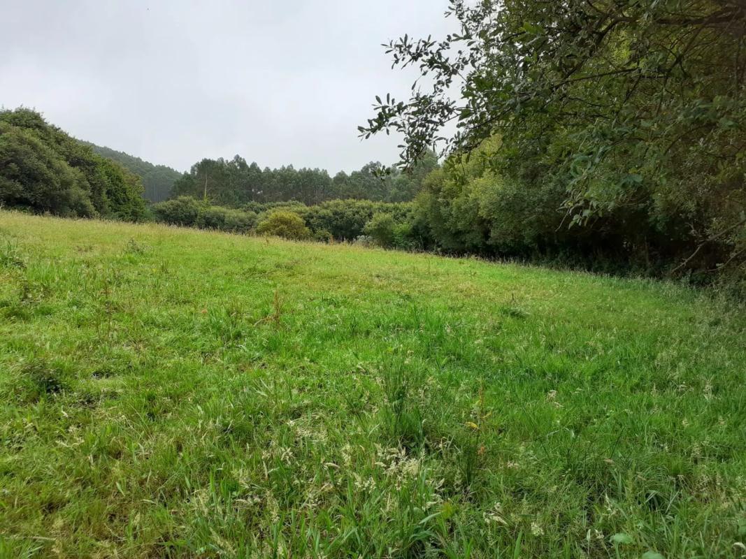Terreno en venta en Cedeira, A Coruña photo 3