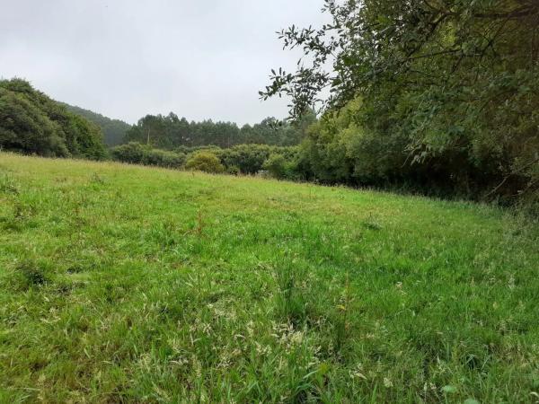 Terreno en a Cova s/n sn photo 3