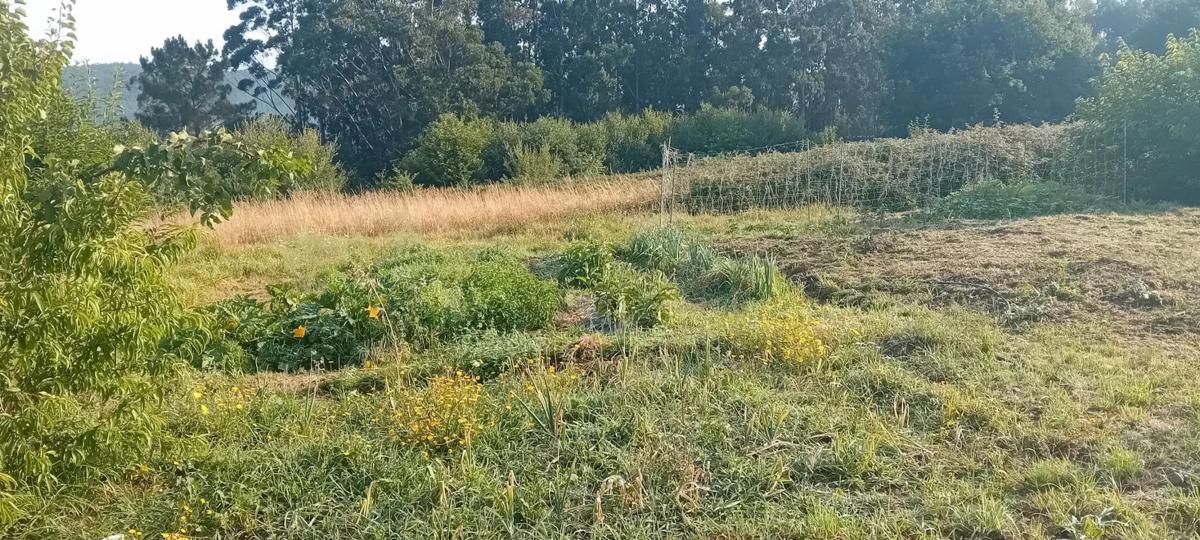 Terreno en venta en Narón, A Coruña photo 2