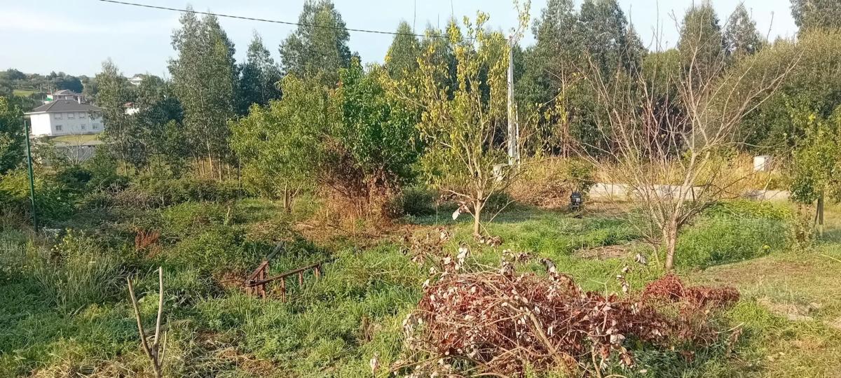Terreno en venta en Narón, A Coruña photo 3