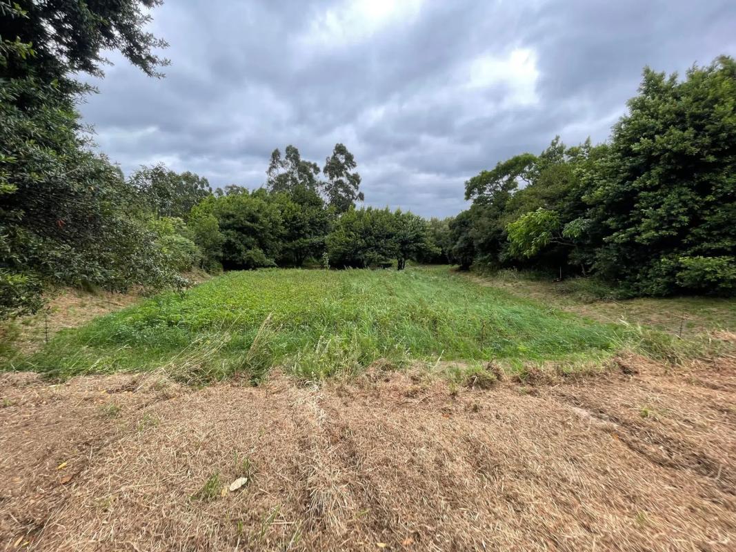 Land for sale in Ares, A Coruña photo 5