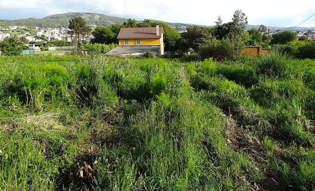 Terreno en venta en Narón, A Coruña photo 4
