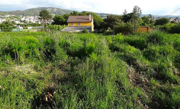 Terreno en Feal-Xuvia photo 4